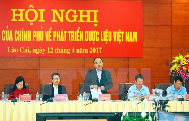 Solutions sought to develop herbal medicinal materials - ảnh 1